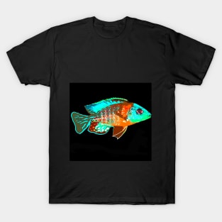 Peacock Cichlid Fish T-Shirt